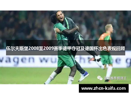 伍尔夫斯堡2008至2009赛季德甲夺冠及德国杯出色表现回顾