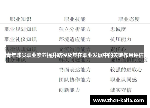 青年球员职业素养提升路径及其在职业发展中的关键作用评估